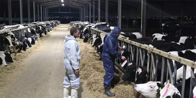 TDP: “�ap hastal���yla m�cadelede iki toplum aras�ndaki i� birli�i hayati �nem ta��yor”