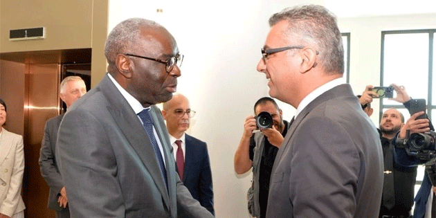 Erhrman, Diagne ile grt