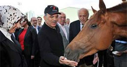 G�l, hediye verilen at�na ne isim verdi? 