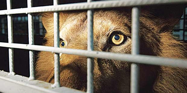 Anavatana d�n��