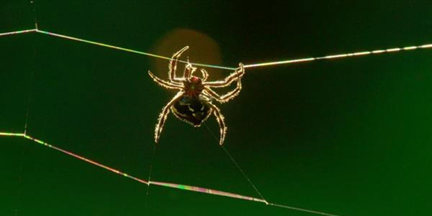 24 metre uza�a a� f�rlatabilen �r�mcek