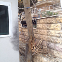 Nusaybin'de terr saldrs 