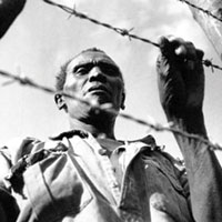 S�m�rge tarihinin karanl�k y�z�: Mau Mau