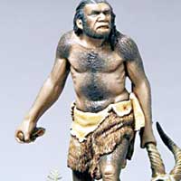 En yakn akrabamz Neandertallar kt 