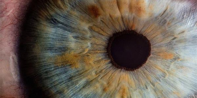 G�ze giren nano robot!