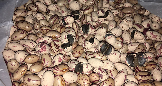 Trkiye'de ilk defa ele geirildi