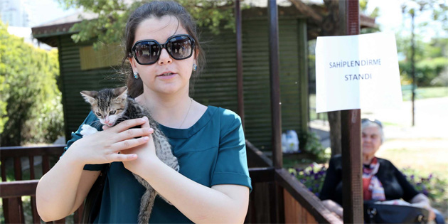 �zmir'de sokak kedileri i�in sahiplendirme stand�