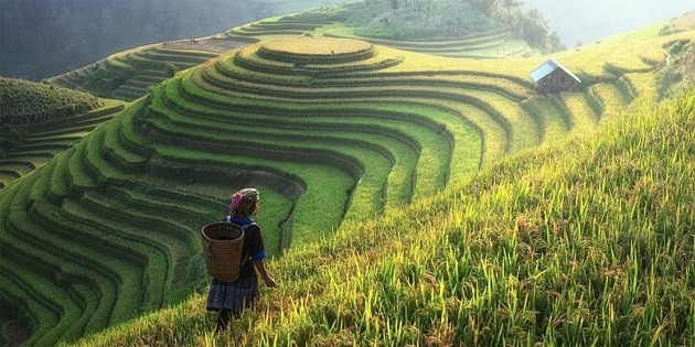 in, 2020 Ylna Kadar Krsal Blgelerde Tamamen Dijital deme Yaplmasn stiyor