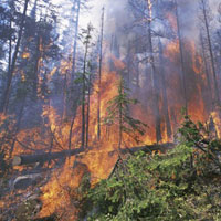 anakkale'deki orman yangnlar kontrol altnda
