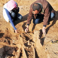 Hatay’da ��pl�kten tarih ��kt� 