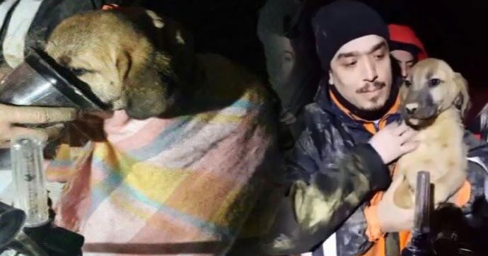 10 g�n sonra mutlu son