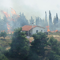 Atina’da yang�n pani�i 