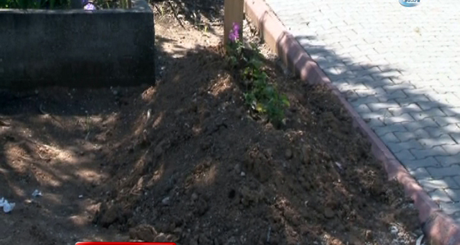 Konserverden mi zehirlendiler?