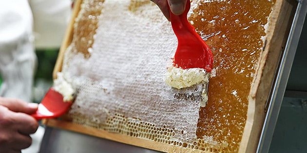 Bir kavanoz narenciye bal 11 bin liradan alc buldu