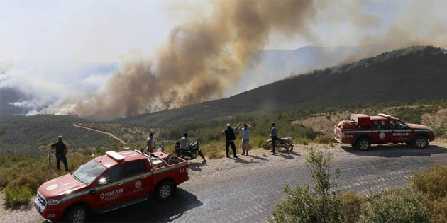 �zmir'in Urla ve Bay�nd�r il�elerinde orman yang�n�