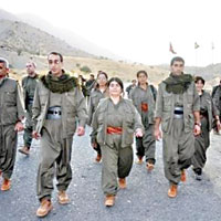 Habur'dan gelen 11 PKK'lya yakalama karar     