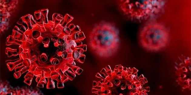 Bilim nsanlar Koronavirsn Neden Bu Kadar Tehlikeli Olduunu Buldu
