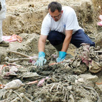 Gaddafi d�neminden toplu mezar 