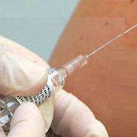 Mevsimsel deil, domuz gribi 