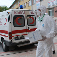 TRKYE’DE DOMUZ GRB 3’NC CANI ALDI 