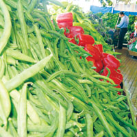 FASULYE F�YATINDA REKOR ARTI�  