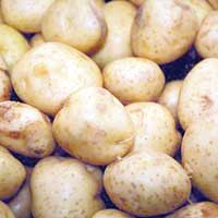 Sonbahar patates alanlar askda