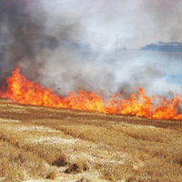 Apple, iOS 9 VE Apple Music'i tan�tt� 