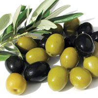 Zeytin rekoltesinde b�y�k d���� var!
