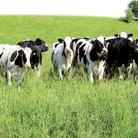 Genel Tar�m Sigortas� Fonu 103 �reticiye 50 bin 400 TL �dedi 