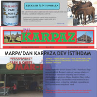 BY KARPAZ’�n geliri kad�n s���nma evine!