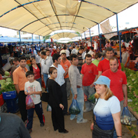 PAZARDA HERKES FYATLARDAN KAYET