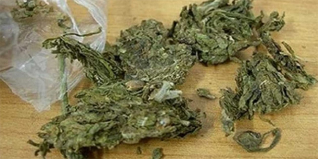 Gney Kbrs’ta bir ayda 45 kilodan fazla hint keneviri ele geirildi