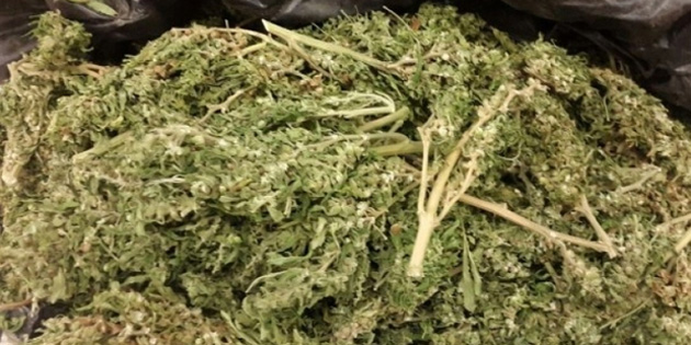 Limasol’da 2 kilo hintkeneviri ele ge�irildi 