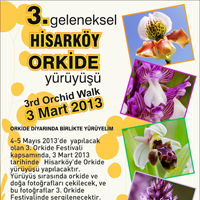 Hisarky’de orkide yry yaplyor 
