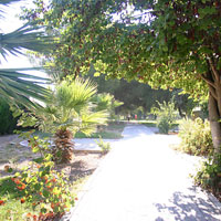 Kumsal Park�’nda spor zaman�