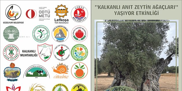 “Kalkanl Ant Zeytin Aalar Yayor” etkinlii 13 Haziran Cuma gn dzenlenecek