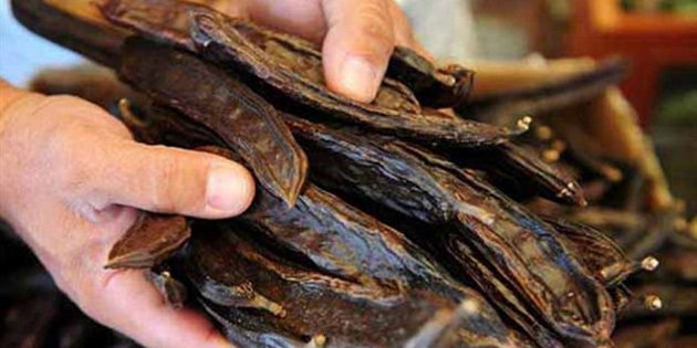 Gazimausa’da harup hasadna 13 Austos Cuma gn balanacak 