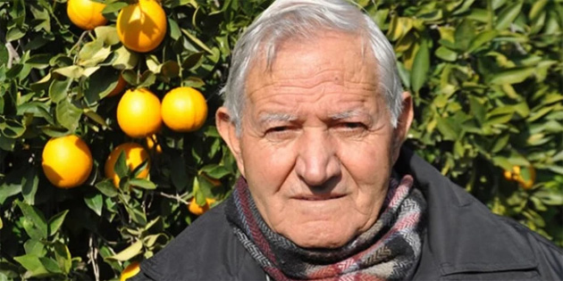 Akn narenciyede yaanan sorunlar anlatt