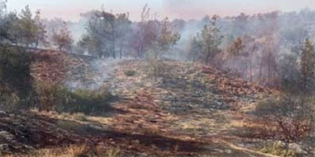 KALKANLI’DAK� YANGIN