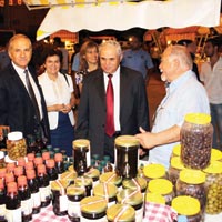Ayg�n’dan Templos temennisi 