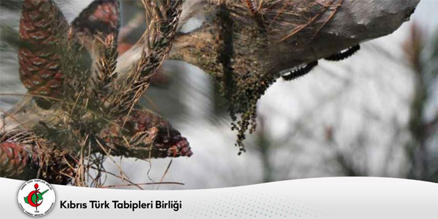 “Biyolojik ilalama yaplmamas ciddi ve geri dnlmez zararlar vermeye balad”