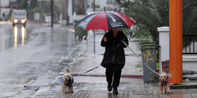  GN BOYUNCA YAMUR VAR 