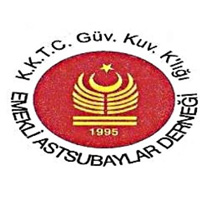 Emekli Astsubaylar Dernei:” Askerlik ve seferberlik anayasal grev”