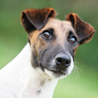 B�RAZ OLSUN FREN’LE!