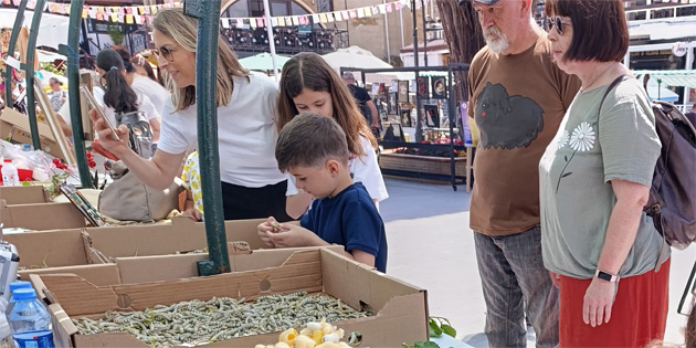 20. �pek Koza Festivali sona erdi