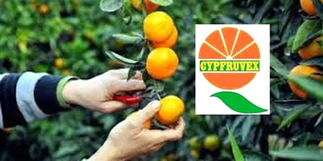 “Cypfruvex” rn bedelleri demesinin aramba gnnden itibaren yaplacan duyurdu 
