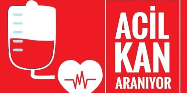 A Rh+ kan aranyor!