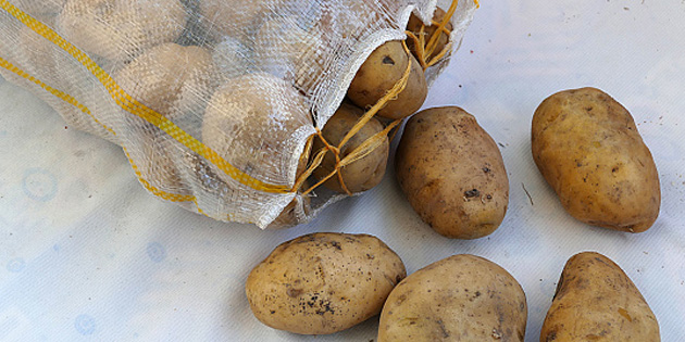 Patates pahall Gney'i de vurdu
