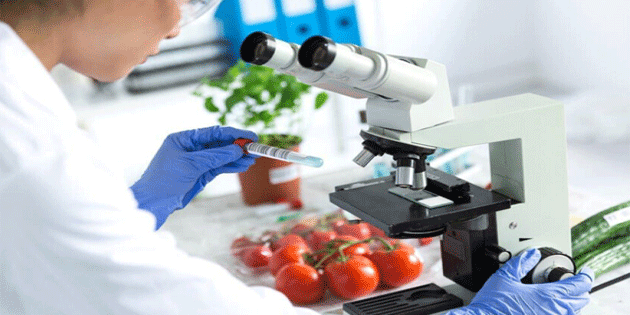 Yerli mandora mandalinle patl�canda limit �st� bitki koruma �r�n� tespit edildi