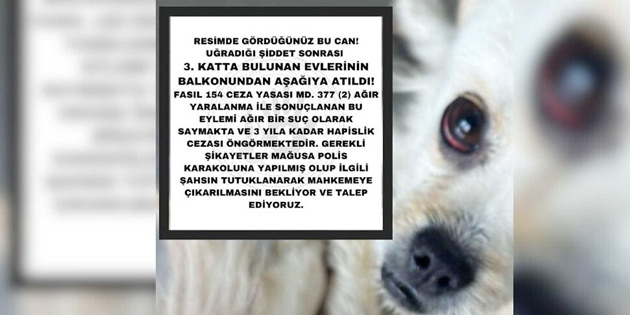 KPE NC KATTA AAI ATTI 